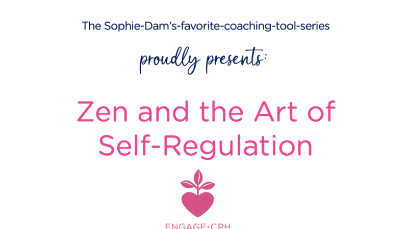 Zen and the Art of Self regulation