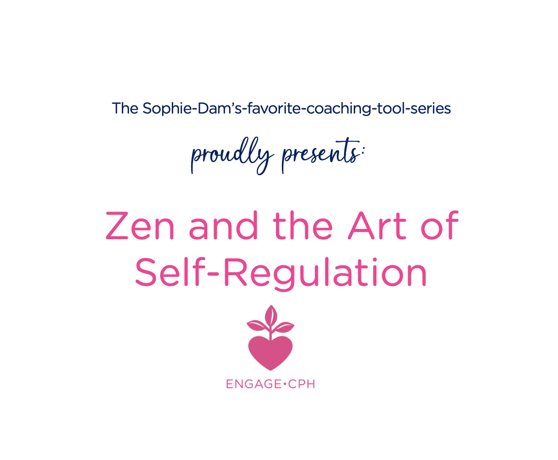 Zen and the Art of Self regulation